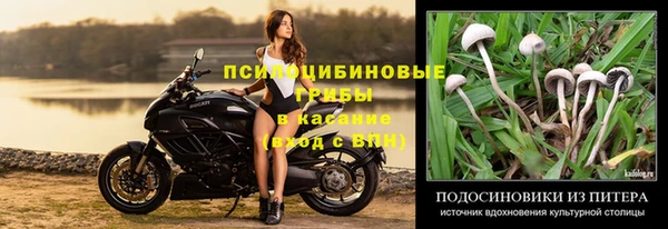 кокаин колумбия Алзамай