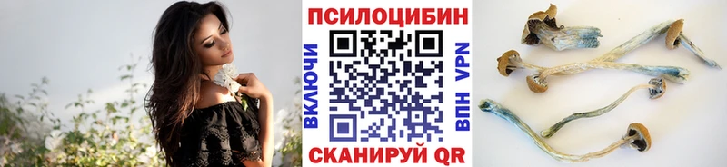 кракен tor  наркотики  Андреаполь  Псилоцибиновые грибы Cubensis 